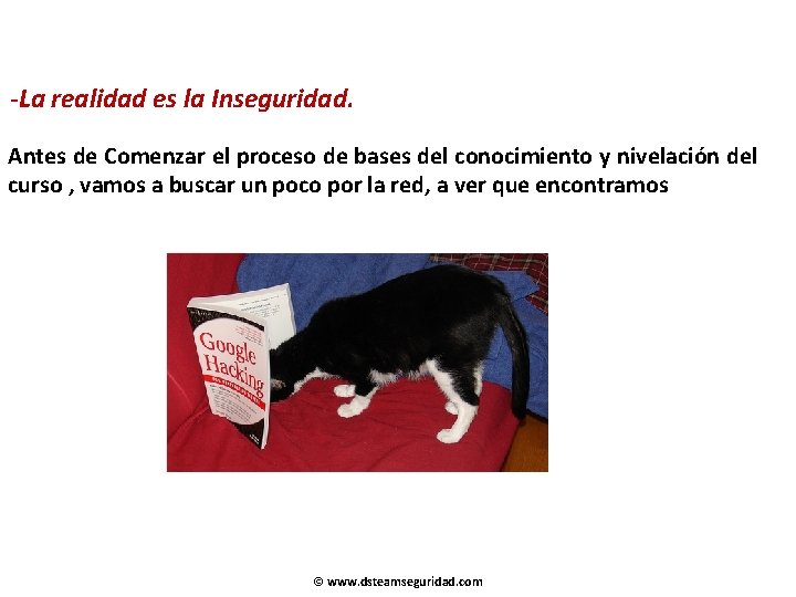 -La realidad es la Inseguridad. Antes de Comenzar el proceso de bases del conocimiento -La realidad es la Inseguridad. Antes de Comenzar el proceso de bases del conocimiento