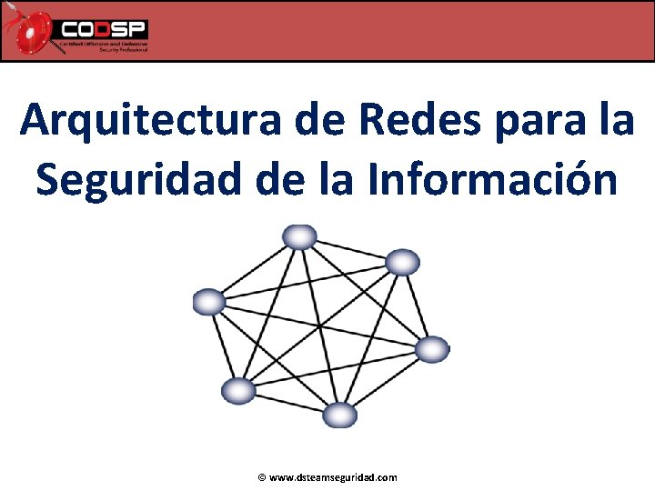 Arquitectura de Redes para la Seguridad de la Información © www. dsteamseguridad. com Arquitectura de Redes para la Seguridad de la Información © www. dsteamseguridad. com