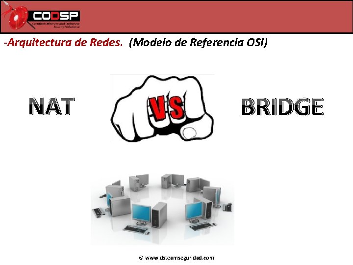 -Arquitectura de Redes. (Modelo de Referencia OSI) NAT BRIDGE © www. dsteamseguridad. com -Arquitectura de Redes. (Modelo de Referencia OSI) NAT BRIDGE © www. dsteamseguridad. com