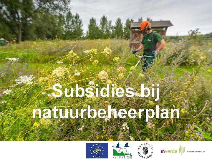 Subsidies bij natuurbeheerplan 