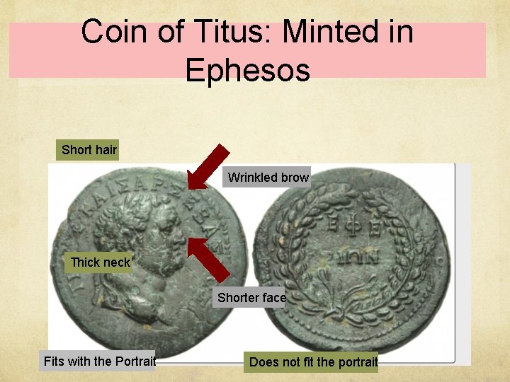 Coin of Titus: Minted in Ephesos Short hair Wrinkled brow Thick neck Shorter face