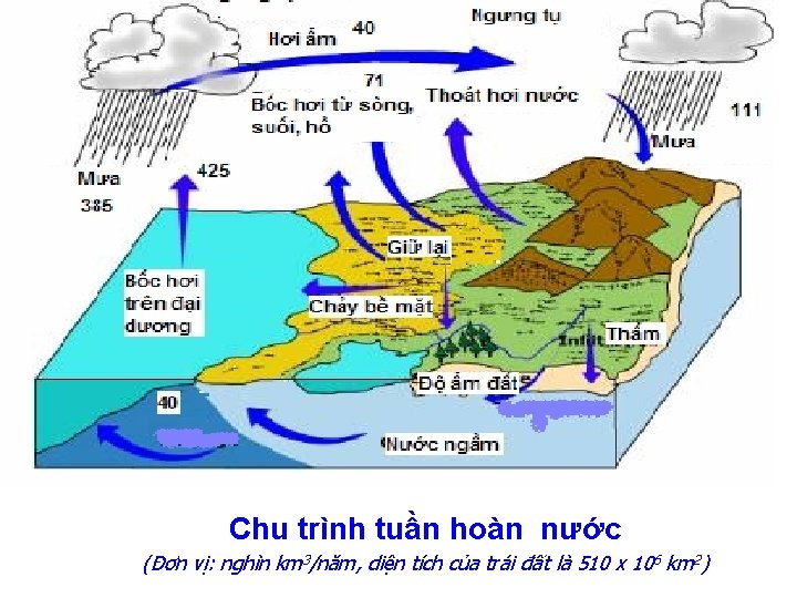 Chu trình tuần hoàn nước (Đơn vị: nghìn km 3/năm, diện tích của trái