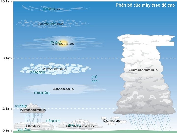 Phân bố của mây theo độ cao (Mây ti) (Ti tích) (Ti tằng) (Trung