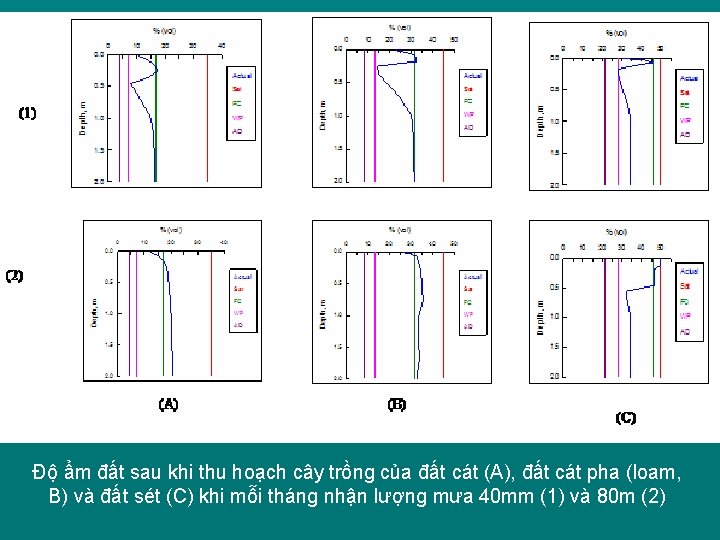 Độ ẩm đất sau khi thu hoạch cây trồng của đất cát (A), đất