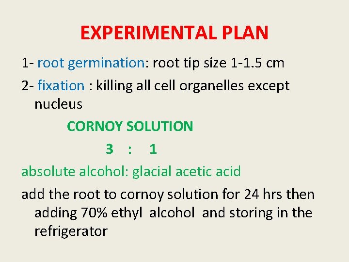 EXPERIMENTAL PLAN 1 - root germination: root tip size 1 -1. 5 cm 2