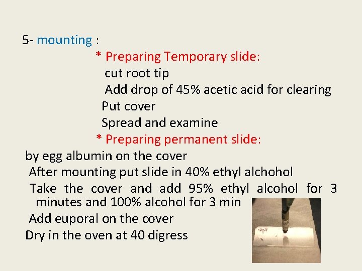 5 - mounting : * Preparing Temporary slide: cut root tip Add drop of