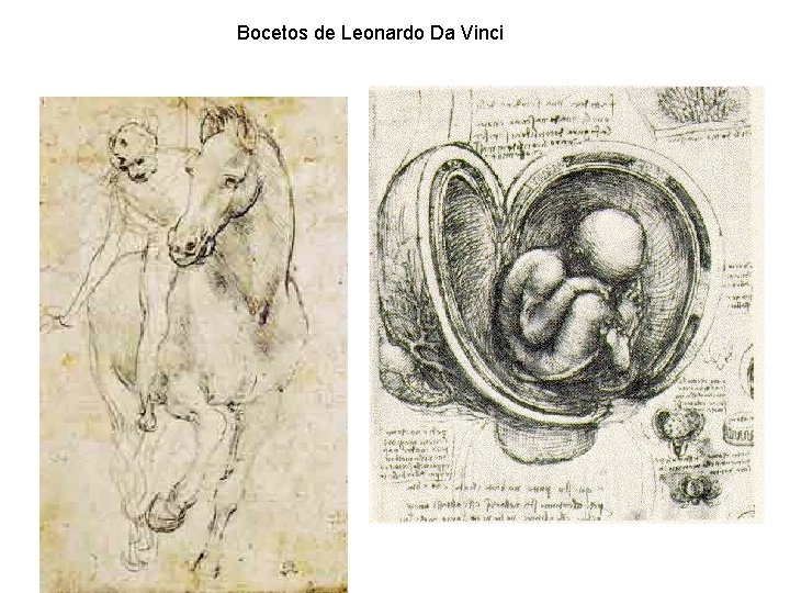 Bocetos de Leonardo Da Vinci • 