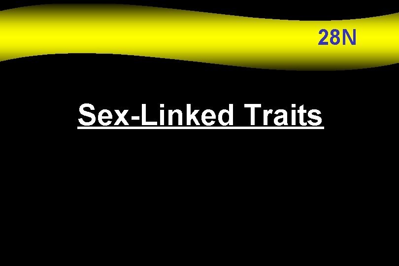 28 N Sex-Linked Traits 