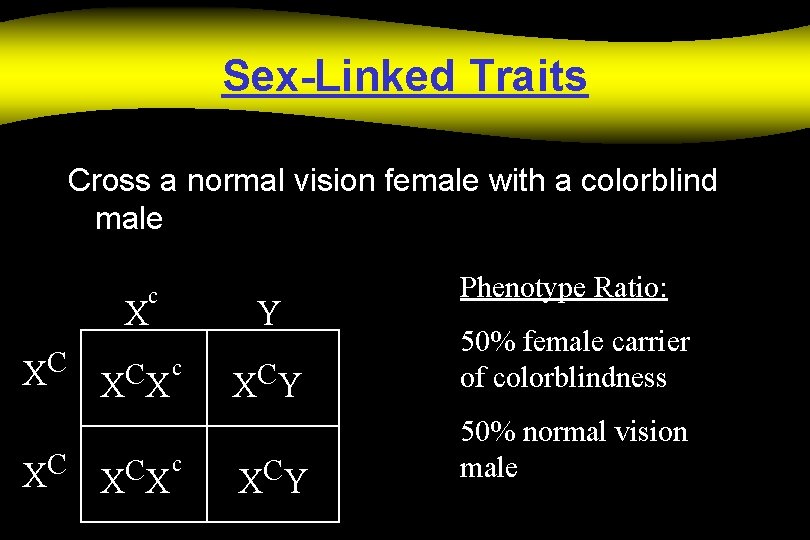 Sex-Linked Traits Cross a normal vision female with a colorblind male c C X