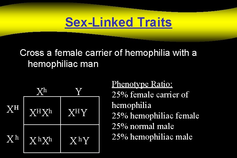 Sex-Linked Traits Cross a female carrier of hemophilia with a hemophiliac man Xh Y
