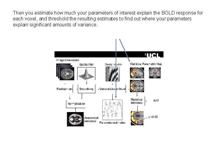 Then you estimate how much your parameters of interest explain the BOLD response for