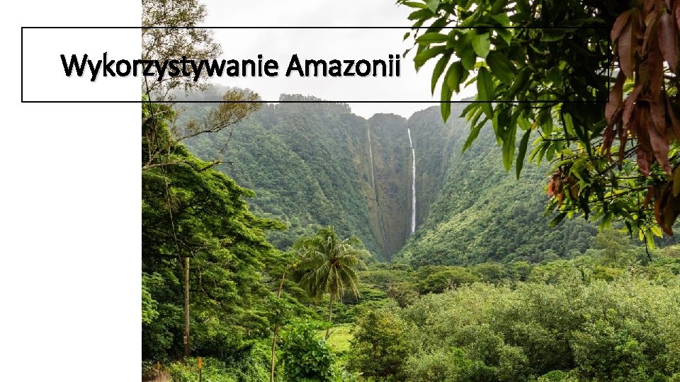 Wykorzystywanie Amazonii 