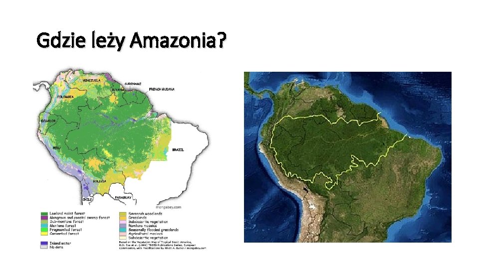 Gdzie leży Amazonia? 