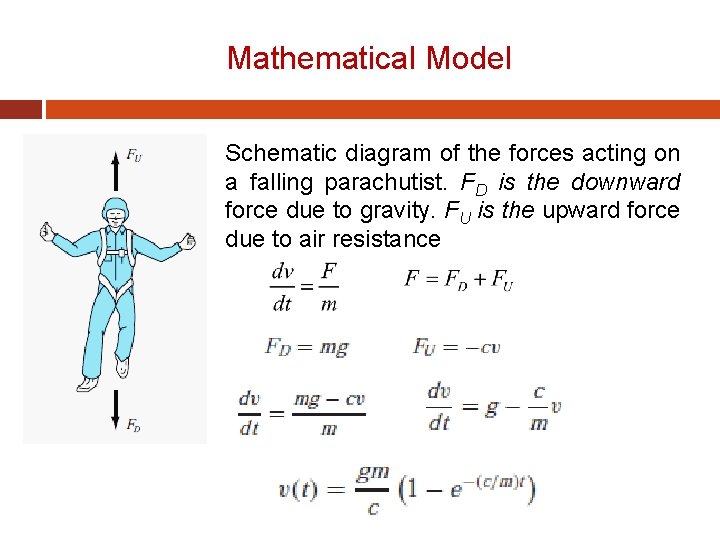 Mathematical Model Schematic diagram of the forces acting on a falling parachutist. FD is