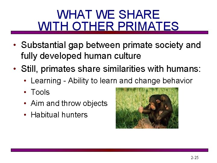 WHAT WE SHARE WITH OTHER PRIMATES • Substantial gap between primate society and fully