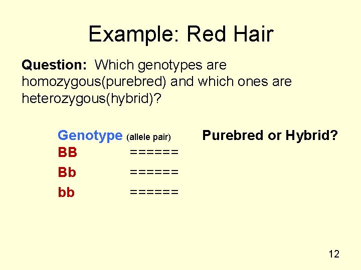 Example: Red Hair Question: Which genotypes are homozygous(purebred) and which ones are heterozygous(hybrid)? Genotype