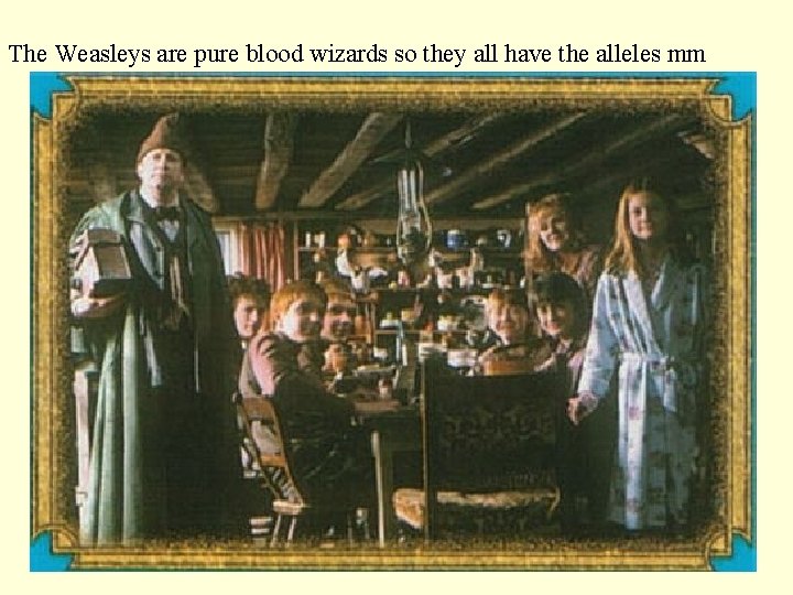 The Weasleys are pure blood wizards so they all have the alleles mm 