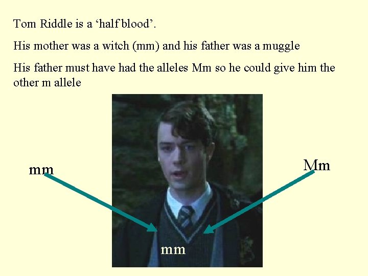 Tom Riddle is a ‘half blood’. His mother was a witch (mm) and his