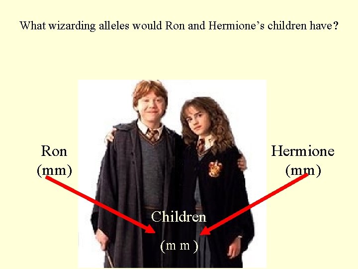 What wizarding alleles would Ron and Hermione’s children have? Ron (mm) Hermione (mm) Children
