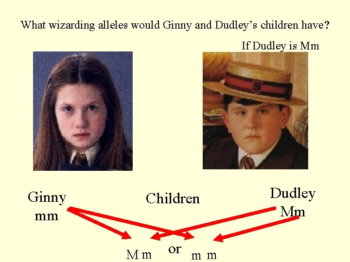 What wizarding alleles would Ginny and Dudley’s children have? If Dudley is Mm Ginny