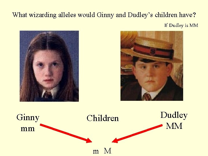 What wizarding alleles would Ginny and Dudley’s children have? If Dudley is MM Ginny