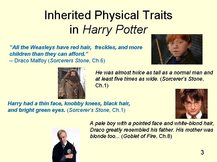 Inherited Physical Traits in Harry Potter "All the Weasleys have red hair, freckles, and