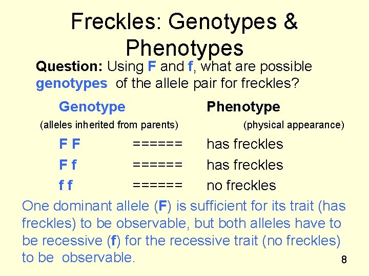 Freckles: Genotypes & Phenotypes Question: Using F and f, what are possible genotypes of