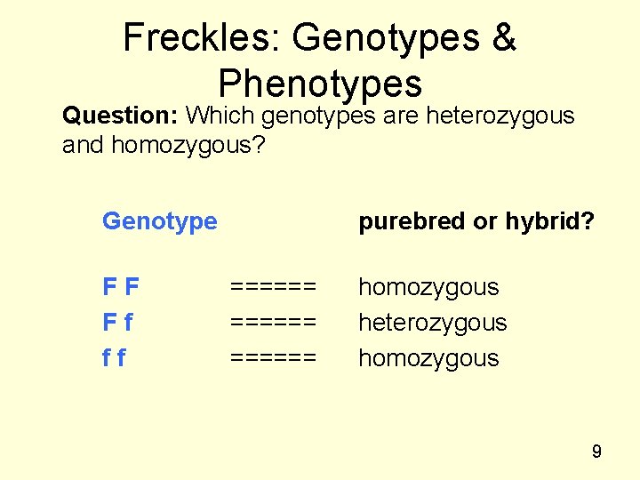 Freckles: Genotypes & Phenotypes Question: Which genotypes are heterozygous and homozygous? Genotype FF Ff