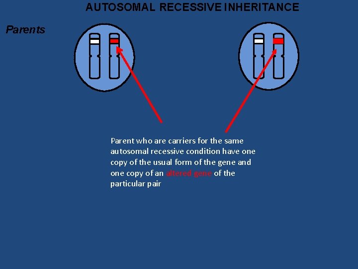 AUTOSOMAL RECESSIVE INHERITANCE Parents Parent who are carriers for the same autosomal recessive condition