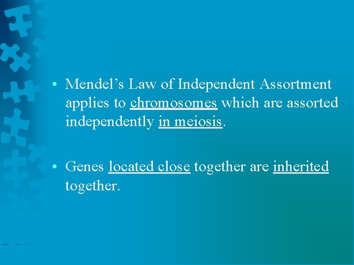  • Mendel’s Law of Independent Assortment applies to chromosomes which are assorted independently