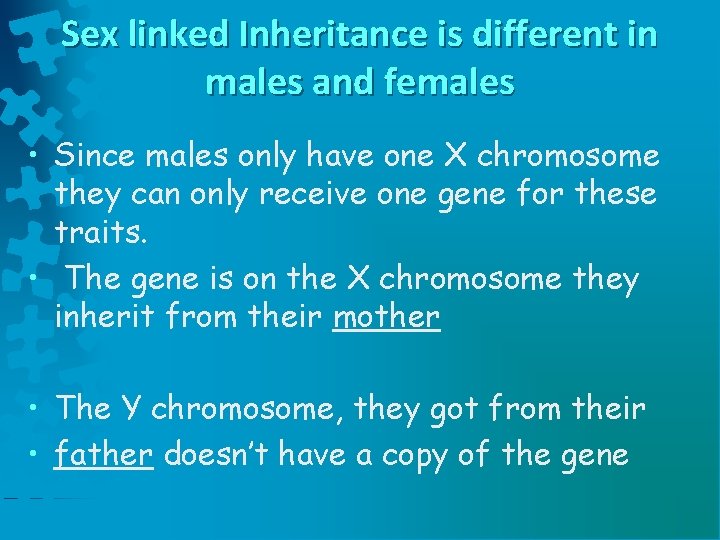 Sex linked Inheritance is different in males and females • Since males only have