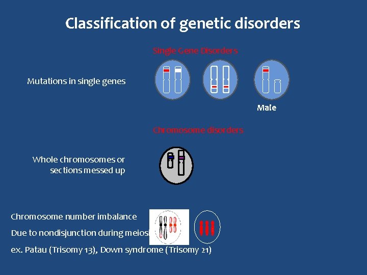 Classification of genetic disorders Single Gene Disorders Mutations in single genes Male Chromosome disorders