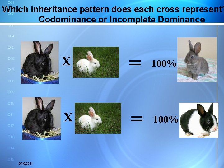 Which inheritance pattern does each cross represent? Codominance or Incomplete Dominance 6/15/2021 X =