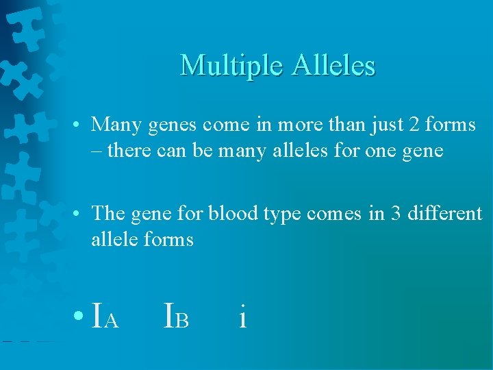 Multiple Alleles • Many genes come in more than just 2 forms – there