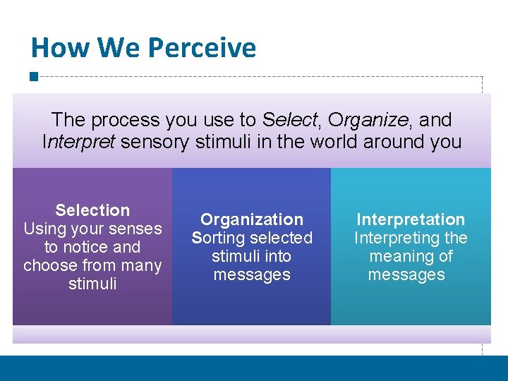 How We Perceive The process you use to Select, Organize, and Interpret sensory stimuli