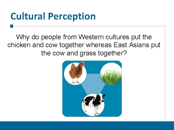 Cultural Perception Why do people from Western cultures put the chicken and cow together