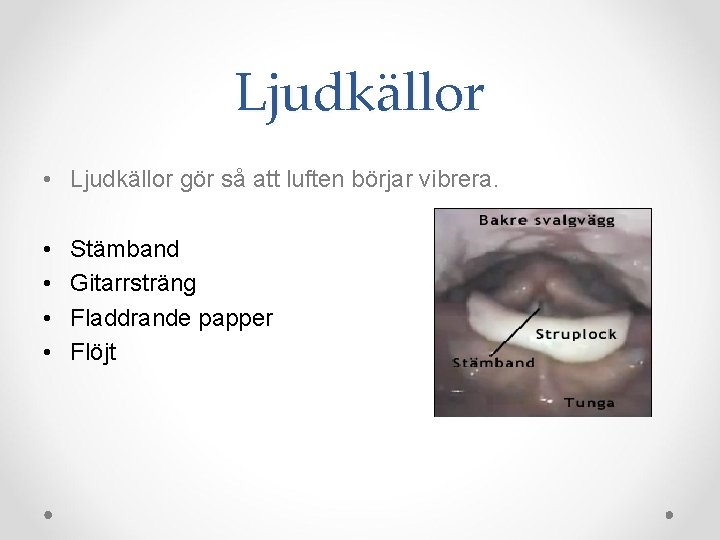 Ljudkällor • Ljudkällor gör så att luften börjar vibrera. • • Stämband Gitarrsträng Fladdrande