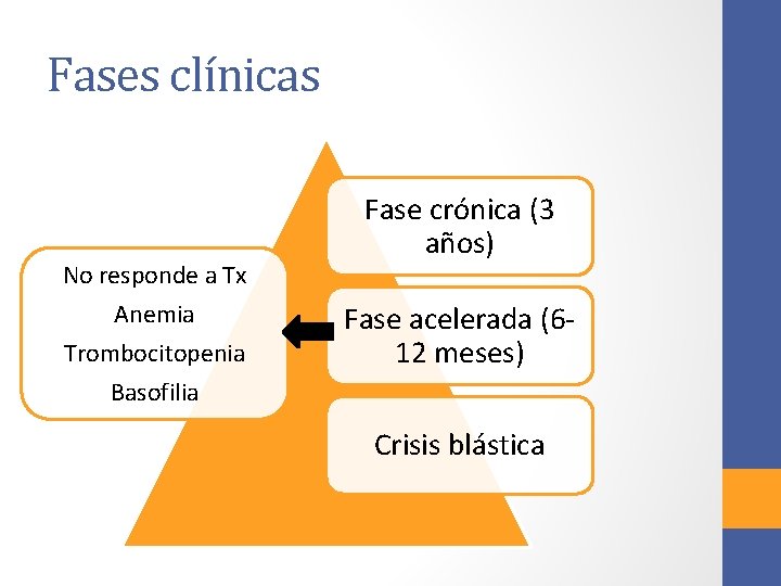 Fases clínicas No responde a Tx Anemia Trombocitopenia Basofilia Fase crónica (3 años) Fase