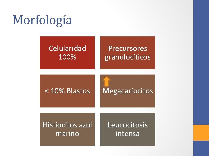 Morfología Celularidad 100% Precursores granulocíticos < 10% Blastos Megacariocitos Histiocitos azul marino Leucocitosis intensa