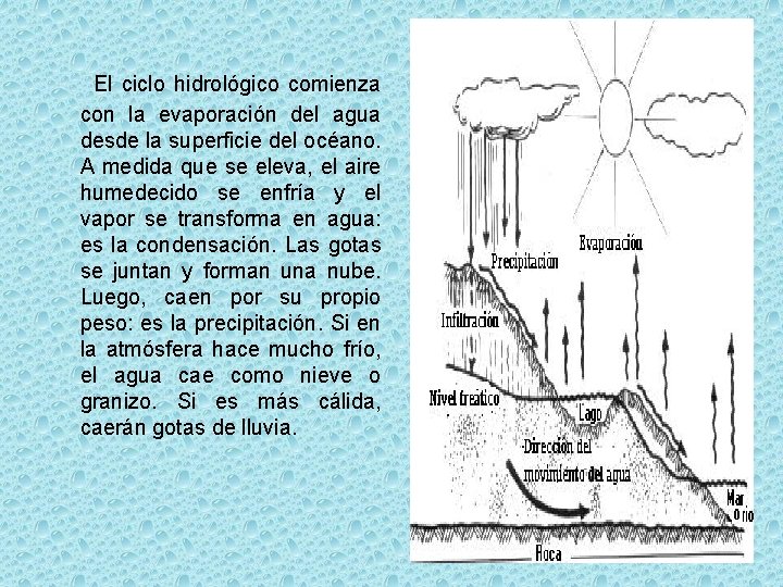 El ciclo hidrológico comienza con la evaporación del agua desde la superficie del océano.