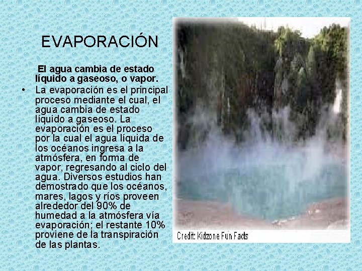 EVAPORACIÓN El agua cambia de estado líquido a gaseoso, o vapor. • La evaporación