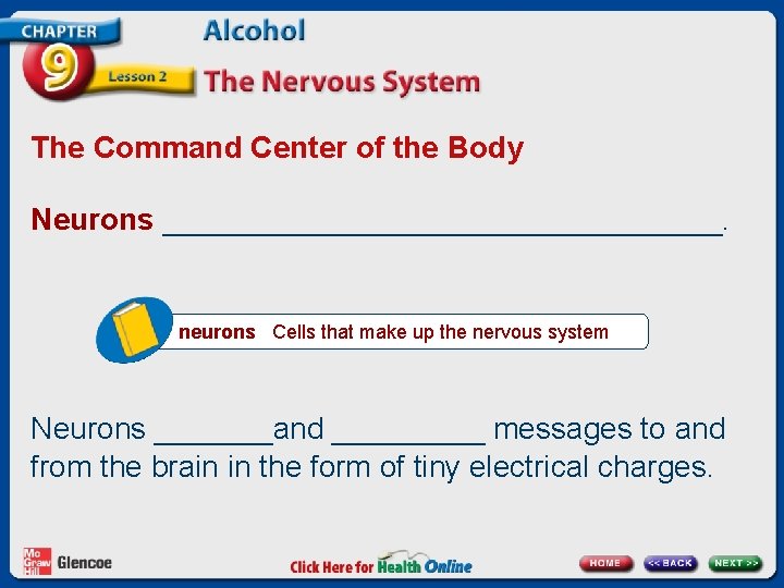 The Command Center of the Body Neurons _________________. neurons Cells that make up the