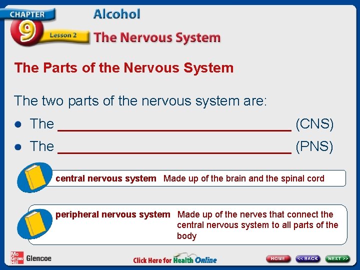 The Parts of the Nervous System The two parts of the nervous system are: