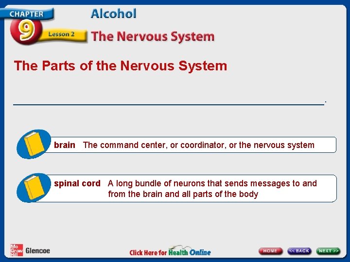 The Parts of the Nervous System _____________________. brain The command center, or coordinator, or
