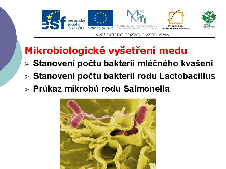 Mikrobiologické vyšetření medu Ø Stanovení počtu bakterií mléčného kvašení Ø Stanovení počtu bakterií rodu