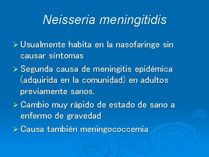 Neisseria meningitidis Ø Usualmente habita en la nasofaringe sin causar síntomas Ø Segunda causa Neisseria meningitidis Ø Usualmente habita en la nasofaringe sin causar síntomas Ø Segunda causa