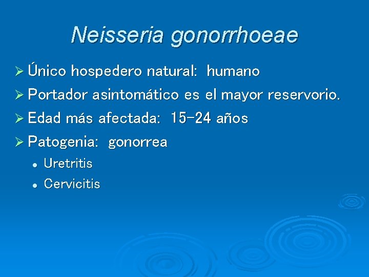 Neisseria gonorrhoeae Ø Único hospedero natural: humano Ø Portador asintomático es el mayor reservorio. Neisseria gonorrhoeae Ø Único hospedero natural: humano Ø Portador asintomático es el mayor reservorio.