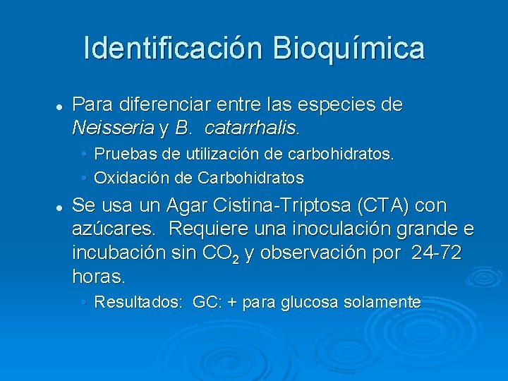 Identificación Bioquímica l Para diferenciar entre las especies de Neisseria y B. catarrhalis. • Identificación Bioquímica l Para diferenciar entre las especies de Neisseria y B. catarrhalis. •