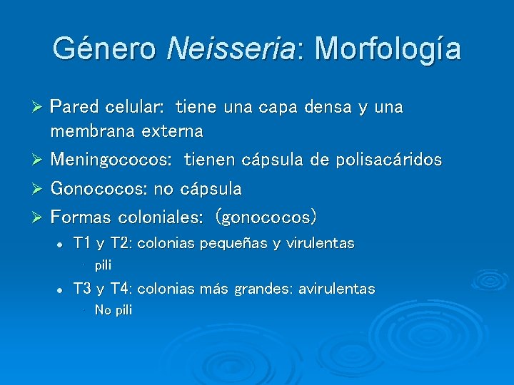 Género Neisseria: Morfología Pared celular: tiene una capa densa y una membrana externa Ø Género Neisseria: Morfología Pared celular: tiene una capa densa y una membrana externa Ø
