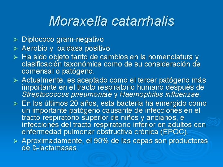 Moraxella catarrhalis Ø Ø Ø Diplococo gram-negativo Aerobio y oxidasa positivo Ha sido objeto Moraxella catarrhalis Ø Ø Ø Diplococo gram-negativo Aerobio y oxidasa positivo Ha sido objeto